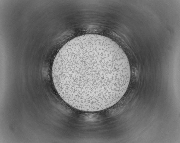 X0000111490663200908111225