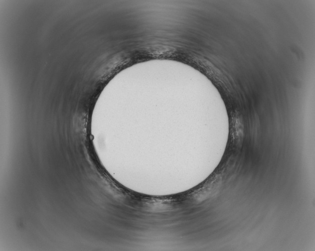 X0000111490664200908111225
