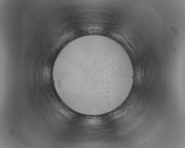 X0000111490667200908111225
