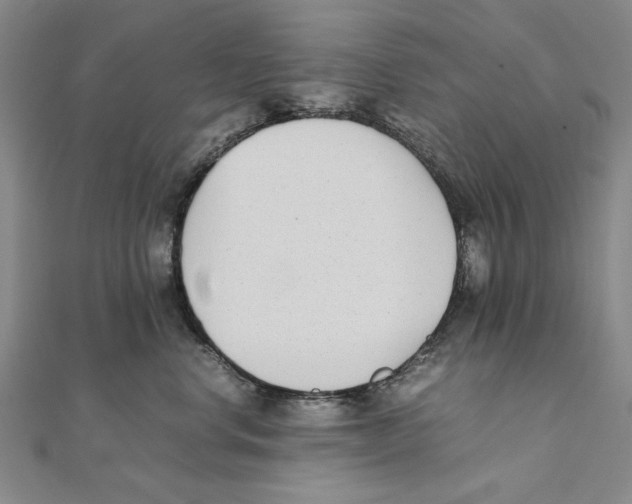 X0000111490668200908111225