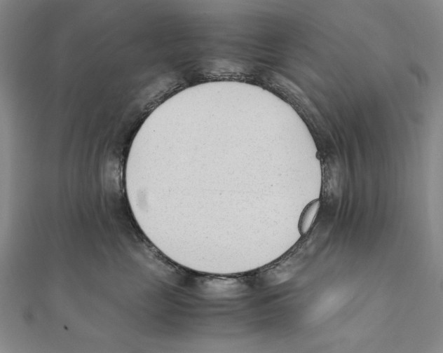X0000111490669200908111225