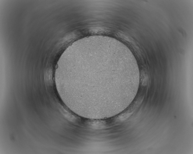 X0000111490670200908111225
