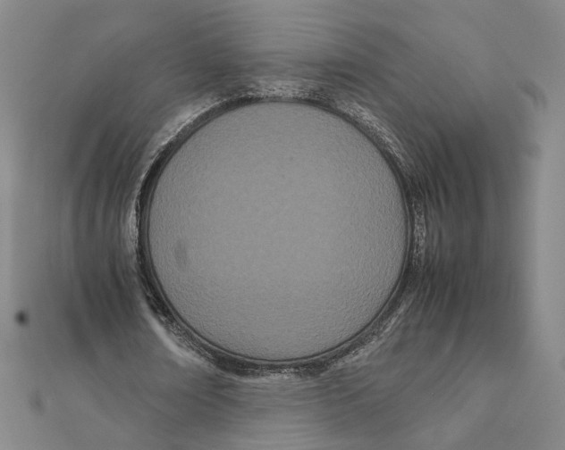 X0000111490674200908111224