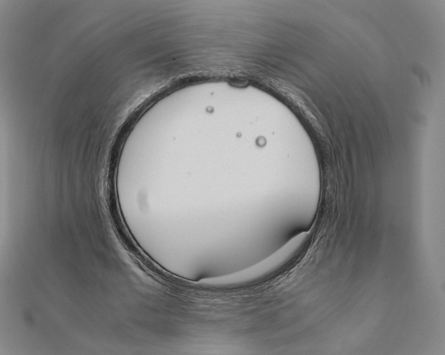 X0000111490677200908111224