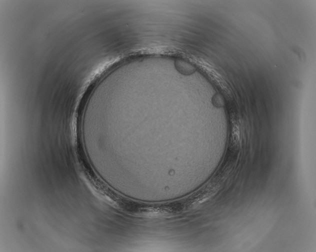 X0000111490678200908111224