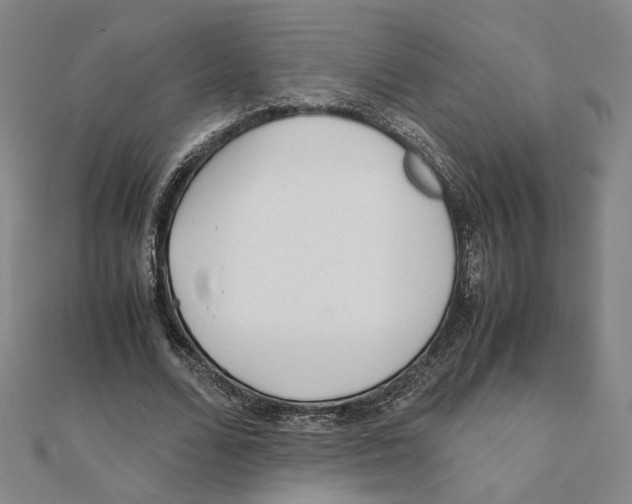 X0000111490680200908111224