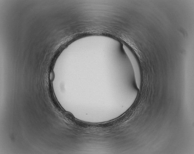 X0000111490681200908111224