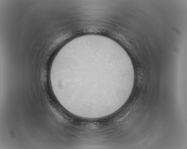 X0000111490683200908111224