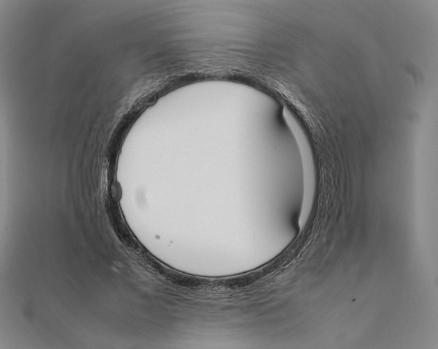 X0000111490685200908111224
