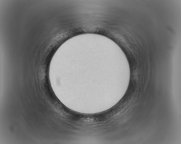 X0000111490687200908111224