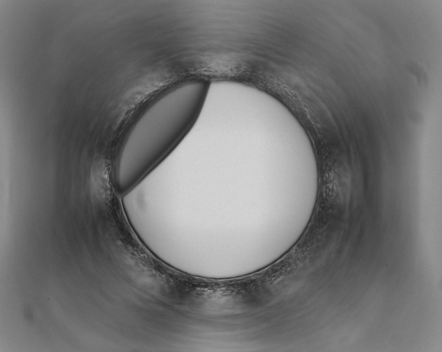 X0000111490688200908111224