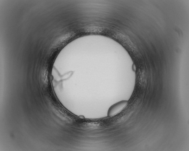 X0000111490692200908111224
