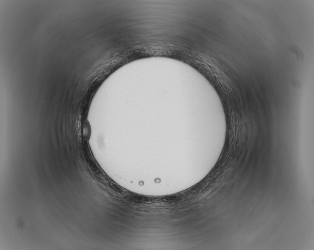 X0000111490696200908111224