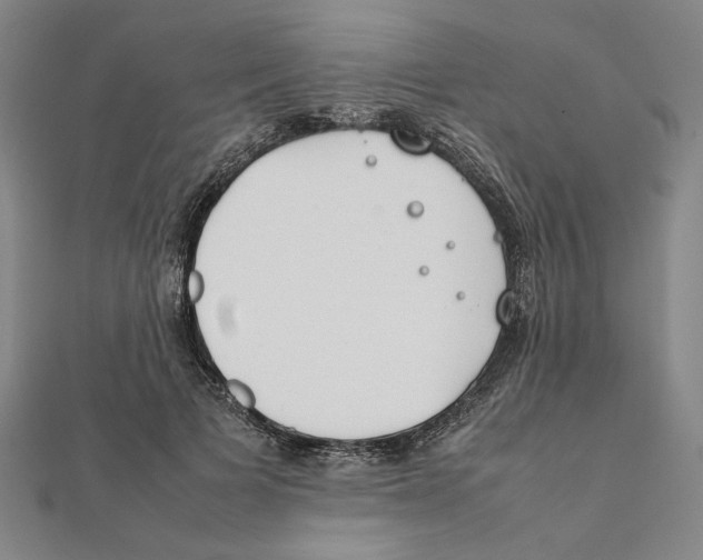 X0000111490697200908111224