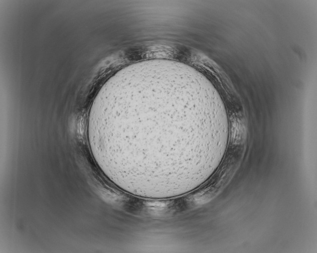 X0000111490701200908111224
