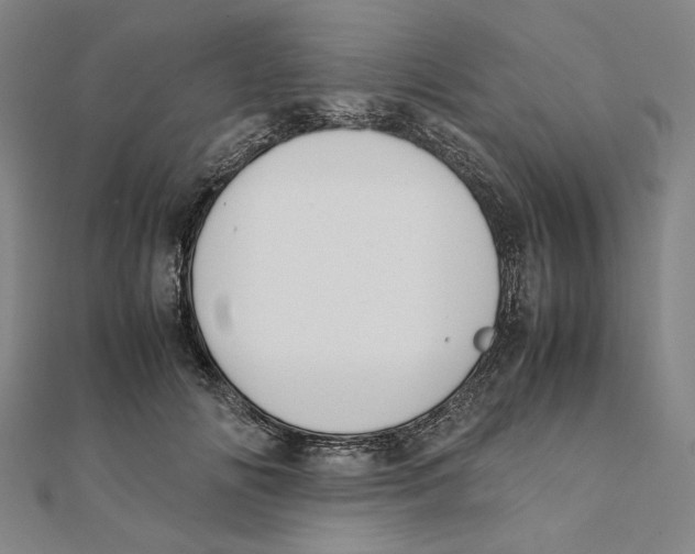 X0000111490702200908111224