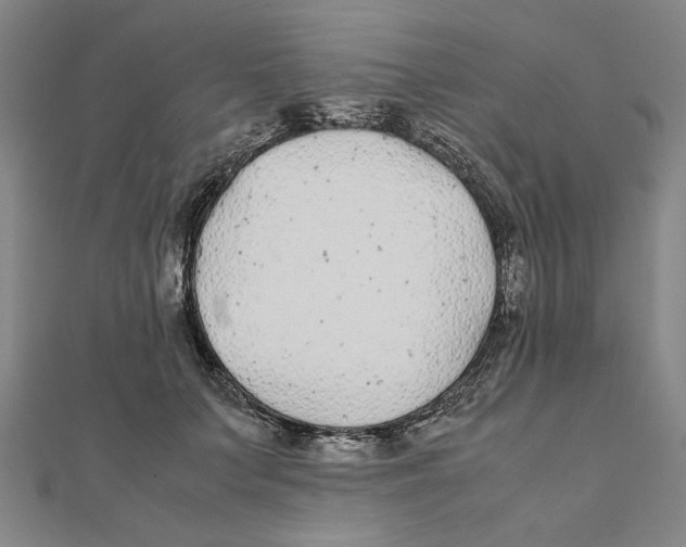 X0000111490703200908111224