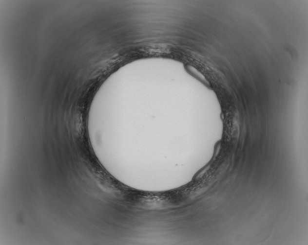 X0000111490704200908111224