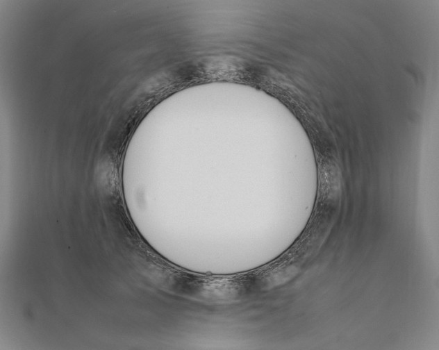 X0000111490705200908111224