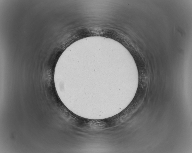 X0000111490707200908111224
