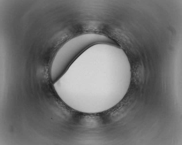 X0000111490708200908111224
