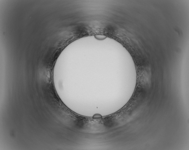 X0000111490709200908111224