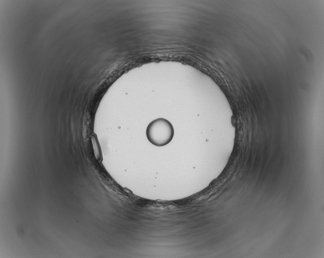 X0000111490712200908111224