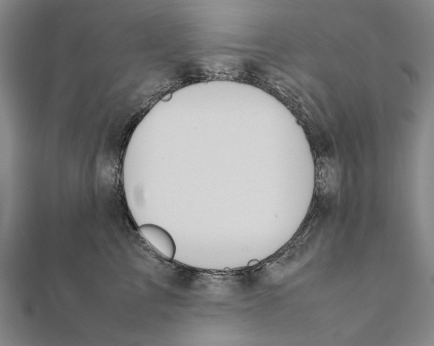 X0000111490713200908111224