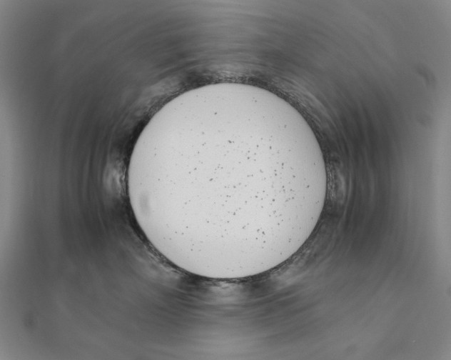 X0000111490718200908111224