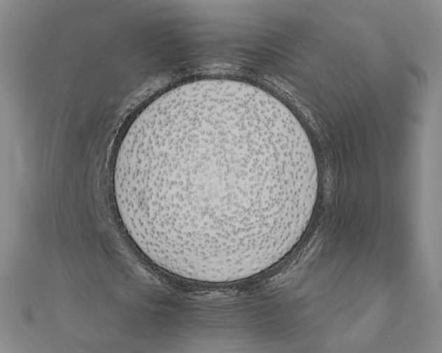 X0000111490721200908111223
