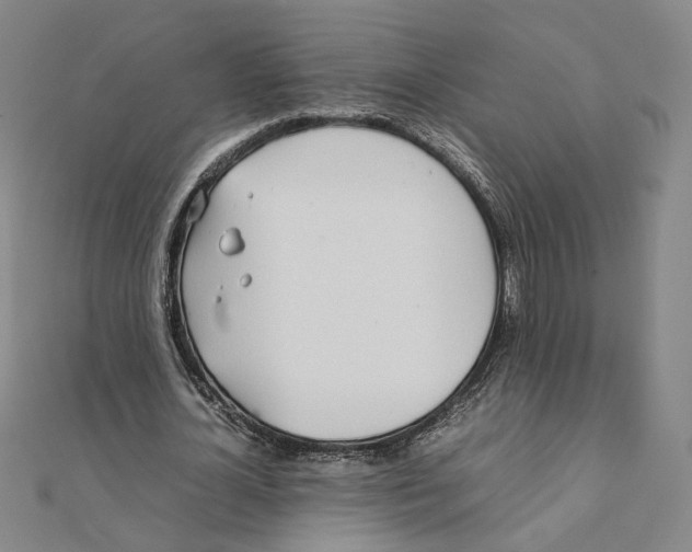 X0000111490724200908111223