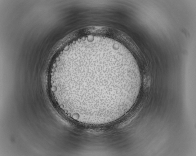 X0000111490725200908111223