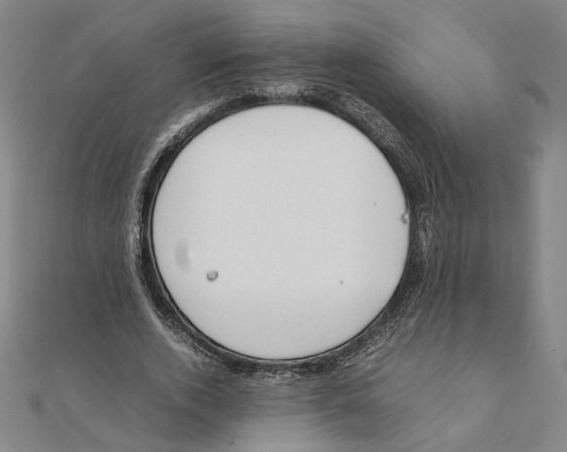 X0000111490728200908111223