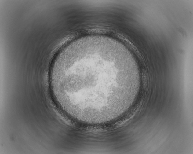 X0000111490729200908111223