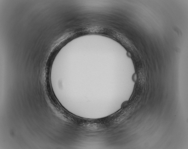 X0000111490730200908111223