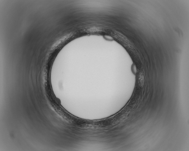 X0000111490732200908111223
