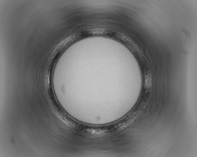 X0000111490733200908111223