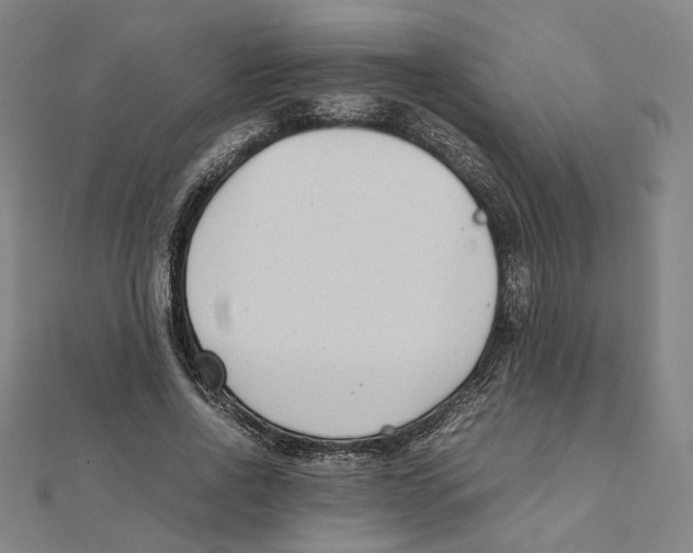 X0000111490734200908111223