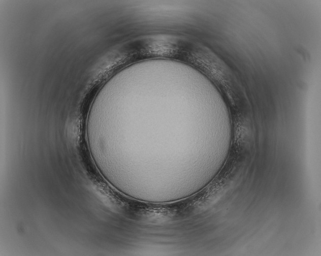 X0000111490736200908111223