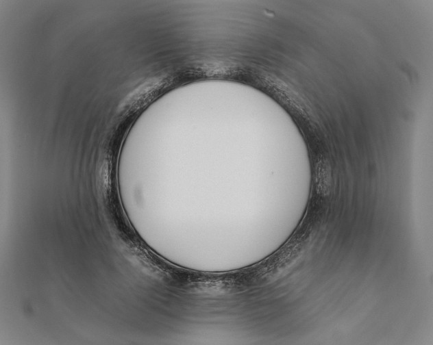 X0000111490740200908111223