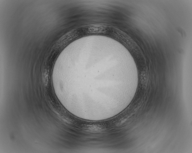 X0000111490741200908111223