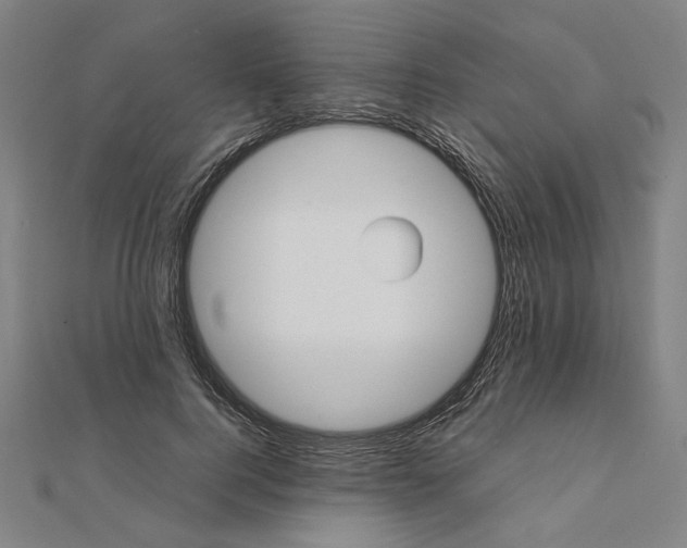 X0000111490744200908111223