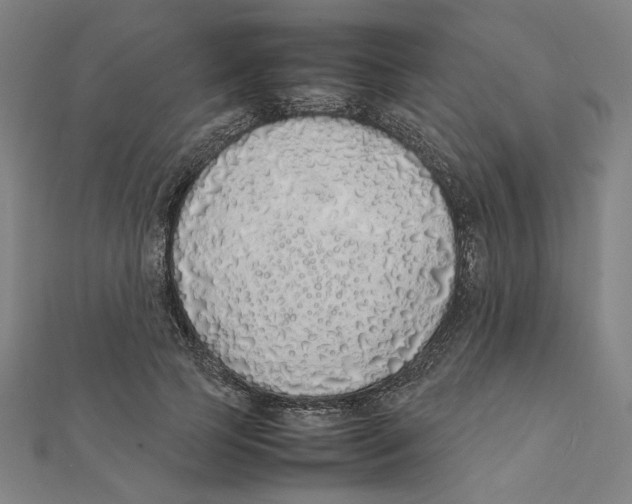 X0000111490745200908111223