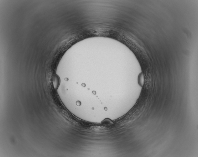 X0000111490748200908111223