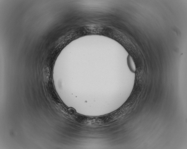 X0000111490752200908111223