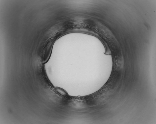 X0000111490756200908111223