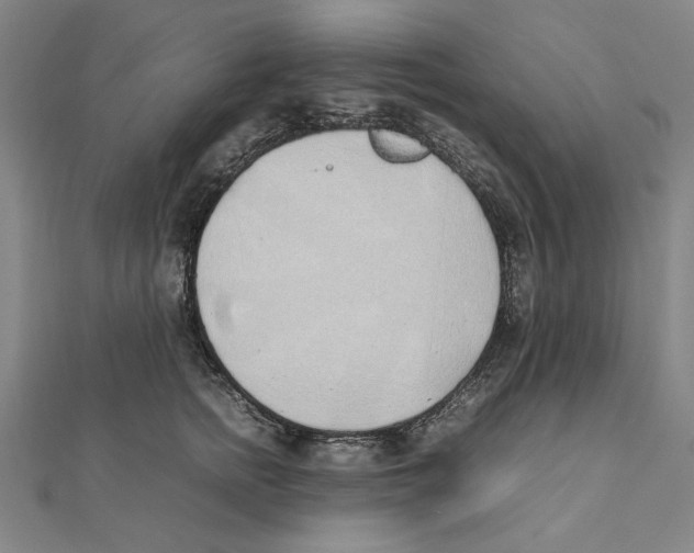 X0000111490758200908111223