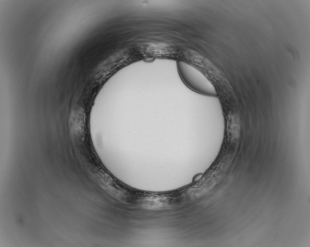 X0000111490760200908111223