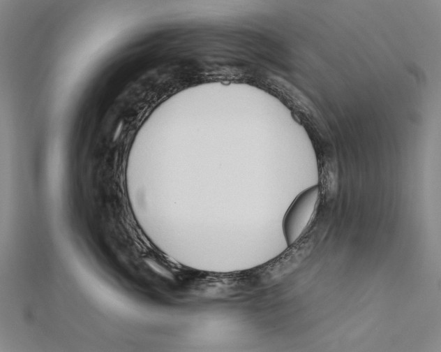 X0000111490764200908111223