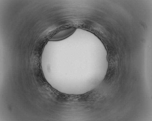 X0000111490773200908111223